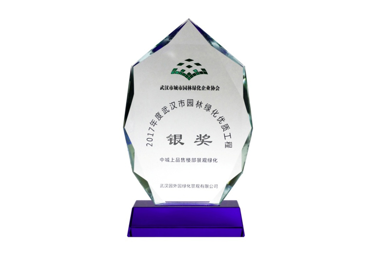 園林綠化優(yōu)質(zhì)工程銀獎(jiǎng)（中城上品）